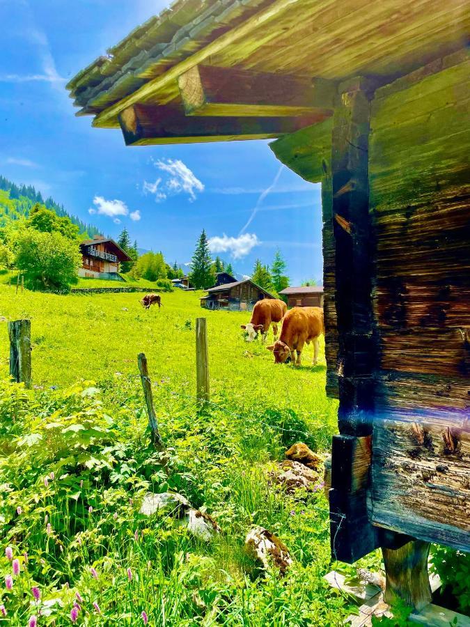 Charmant Chalet Mit See Und Bergsicht Hofstetten bei Brienz Bagian luar foto